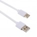 2A USB Male to USB-C / Type-C Male Interface Injection Plastic Charge Cable, Length: 1m (White)